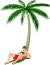 Palm Tree